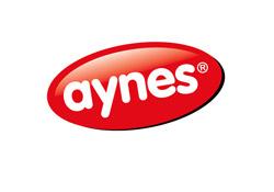 Aynes, sloganını ve logosunu değiştirdi