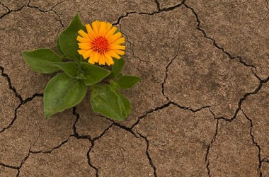 Bazen sevmek feragat etmektir!