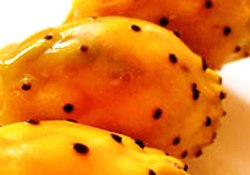 Dikenli incir, şifa ve vitamin deposu