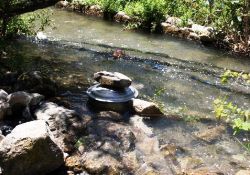 İsrail, Türkiye'den Göksu nehrini istiyor