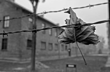 Diyanetten 'irşad' atağı