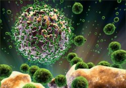 Az bilinen hücrenin peşindeki Türk doktor