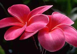 Ömrü ve rızkı arttıran uyku!