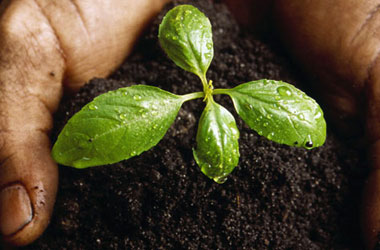 Streslerini toprağa gömüyorlar