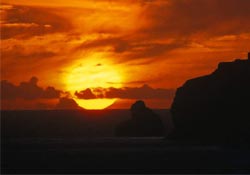 Ey insan! Batmaktan kork!