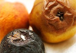 Meyveler ve sebzeler neden kararır?