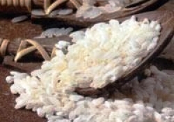 Pişirilmeden Yenen Pirinç Üretildi