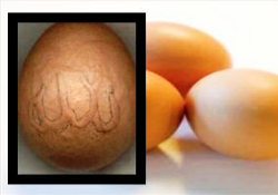 Ördek yumurtasında "Allah" yazısı