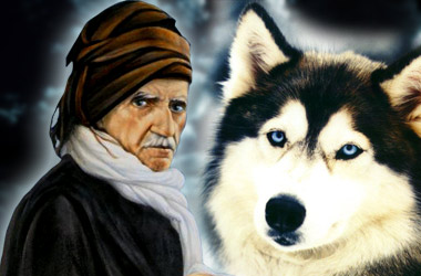 Bediüzzaman kurdun halini şöyle tefsir etti