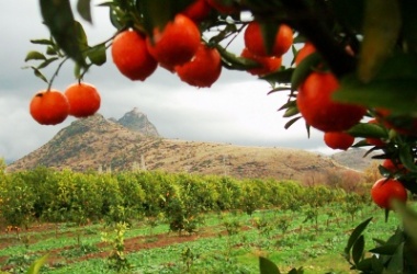 Etrafındakiler kime şahitlik eder?