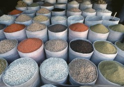 Sofrada ramazan spekülasyonu yok