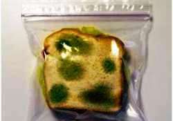 Küflenen gıdanın kalan kısmını da tüketmeyin