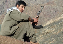 Devletin hataları, insanları dağa çıkarıyor