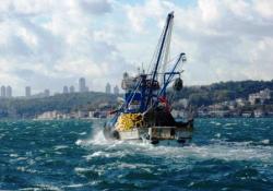 Balıkları Allah gönderdi