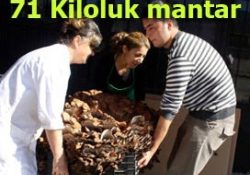 71 kiloluk mantar bulundu