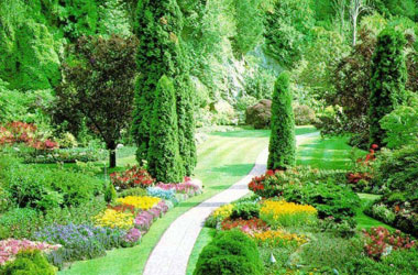 Yeşile bakmak beyni çalıştırıyor