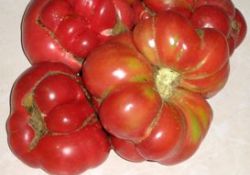 Kendi ürettiği tohumlarla kiloluk domates yetiştiriyor