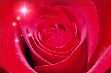 Bu ayın adı neden Ramazan?