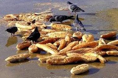 TEMA'dan ekmek ve su tasarrufuna çağrı