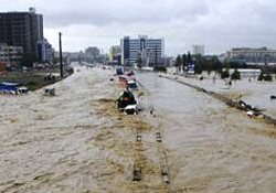 Atla, Allah'ın izniyle tutacağım deyip şoförünü kurtardı