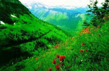 İşte en mükemmel çevreci