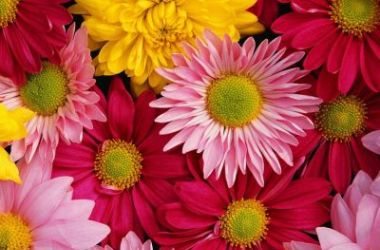 Kişinin hüsn-ü zan sahibi olması...