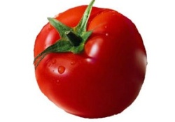 Domates mutluluk saçıyor