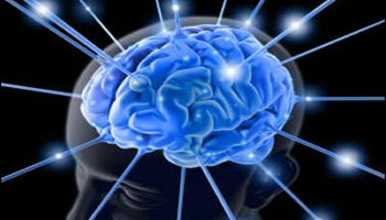 İnsan beynine benzeyen bilgisayar