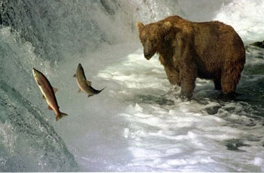 Dünyanın en fıtri hali-FOTO