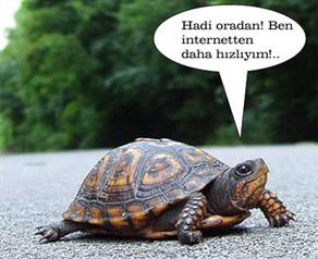 Türkiye'nin interneti kaplumbağa hızında!