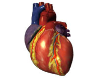 İzmir'de 2 bin 500 kişinin kalbi kontrol edilecek