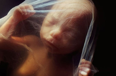 Bir yaratılış mucizesi