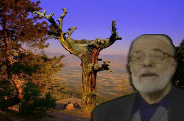 Nur ikliminin meyvesi Hafız Mehmet