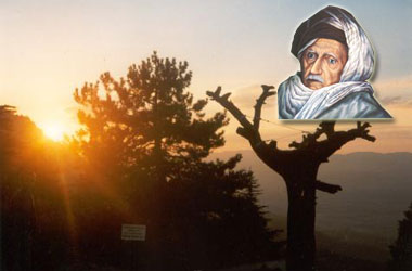 Said Nursi ağaçlarla ciddi dostluklar kurdu