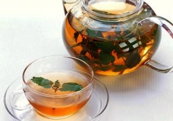 Dünyanın 1 numaralı şifalı bitkisi