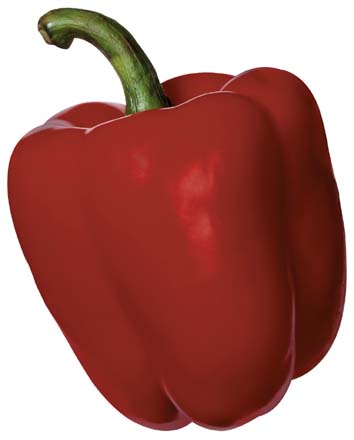 En İyi Kırmızı Biberi Yetiştiren Üreticiler Ödüllendirildi