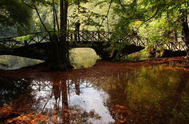 Yedigöller'de Sonbahar