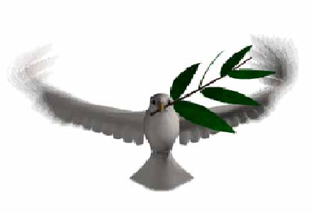 Saraybosna'dan barış sempozyumuna davet