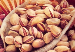 Antep fıstığı, Almanya'da tanıtıldı