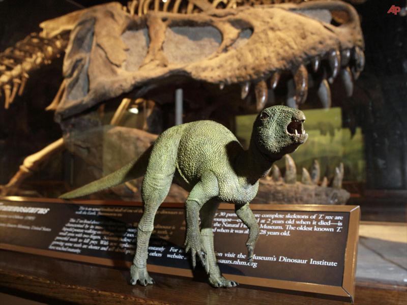 Minik Dinozorlar Sergide