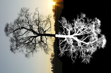 Hayata bir de 'negatif' bakalım