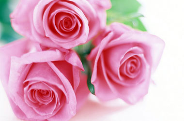 Kadınlar, Hz. Fatıma'nın her halini model alabilir