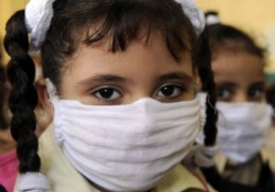 Domuz gribi salgınında son durum