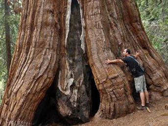 Daha görkemli ve uzunu yok