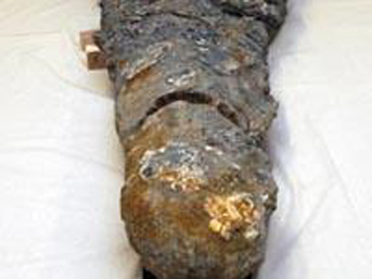 En korkunç yaratık bulundu