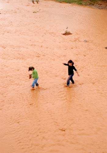 Trabzon'da sel ve heyelanın bilançosu açıklandı