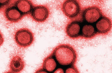 'İspanyol hastalığı' diriliyor