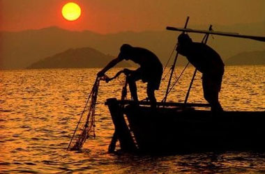 Allah balık peşinden koşan tüm balıkçılara emeğinin karşılığını versin