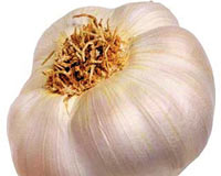 Dünyada en çok sarımsağı Araplar, Türkiye'de ise Gaziantepliler tüketiyor