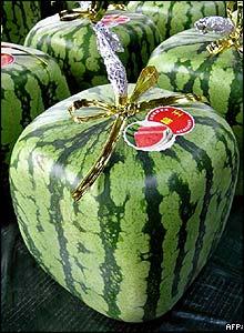 GDO denetiminin sonucu açıklandı